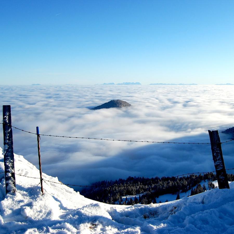 Alpengasthof Krische Murau Eksteriør billede